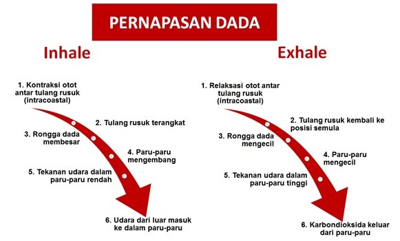 Pengaturan Napas Saat Berolahraga Asosiasi Pelatih Kebugaran Indonesia