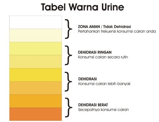 MEMINIMALKAN DEHIDRASI SAAT BERPUASA Indonesia Fitness 