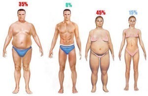 body fat