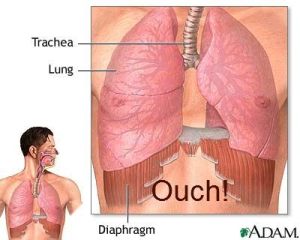 Diaphragm