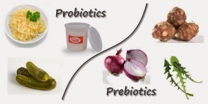 Hasil gambar untuk prebiotik